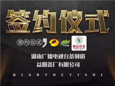 湘益茯，美茗揚 丨湘益茯茶與茶頻道達成長(cháng)期戰略合作