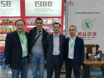 湘益茯茶6年耕耘，讓“金花”開(kāi)遍巴蜀大地