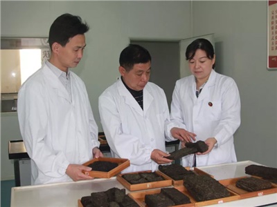 傳承茯茶非遺技藝、開(kāi)拓創(chuàng  )新引領(lǐng)行業(yè)發(fā)展