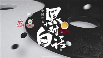 首屆黑白對話(huà)高峰論壇圓滿(mǎn)落幕！湘益茯茶備受關(guān)注！